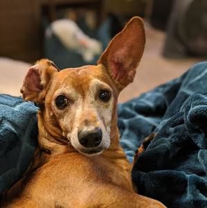 Meet your Posher, John